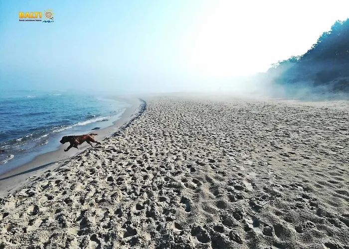 Balti Letniskowe * Debina (Ustka)